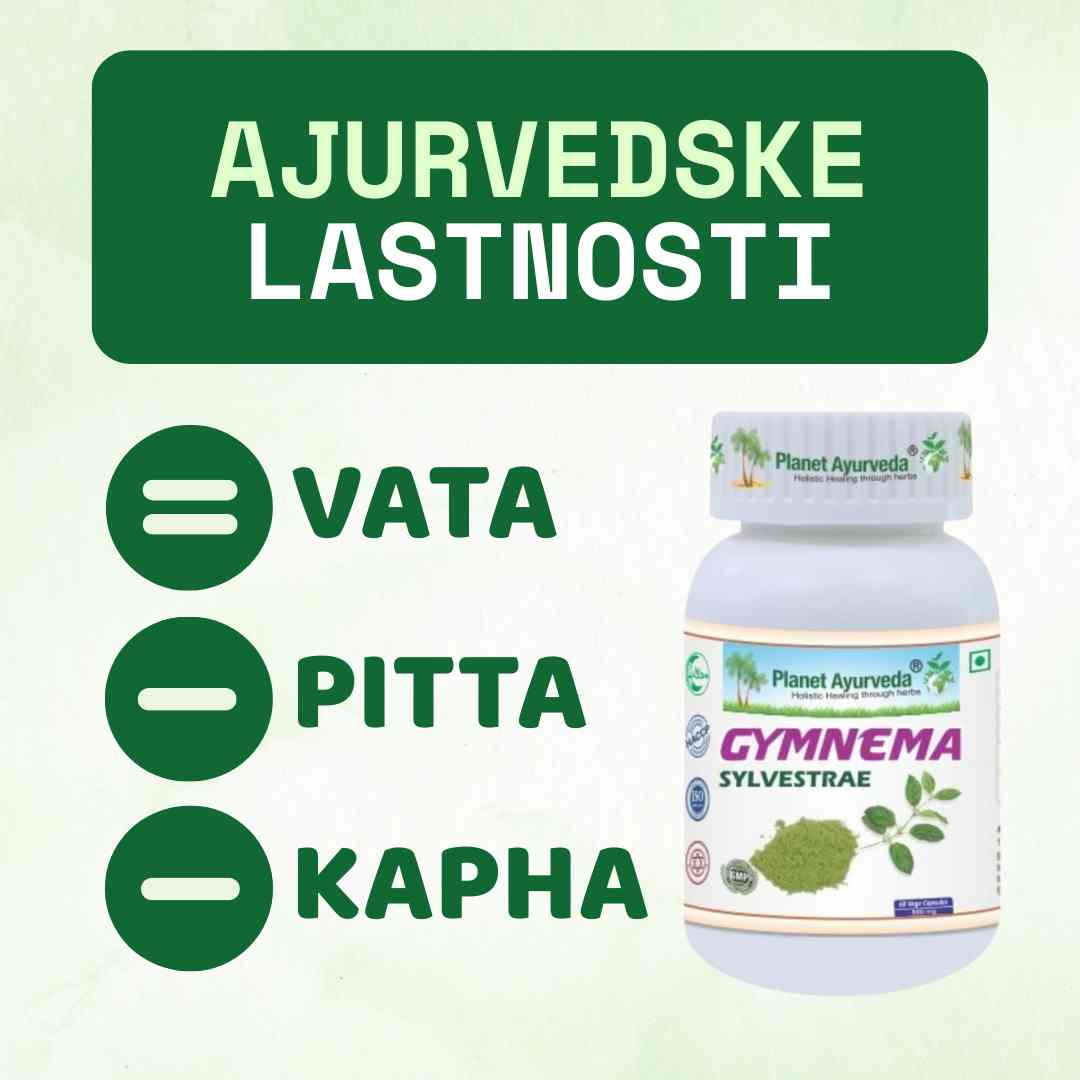 Gymnema Sylvestrae – Gurmar