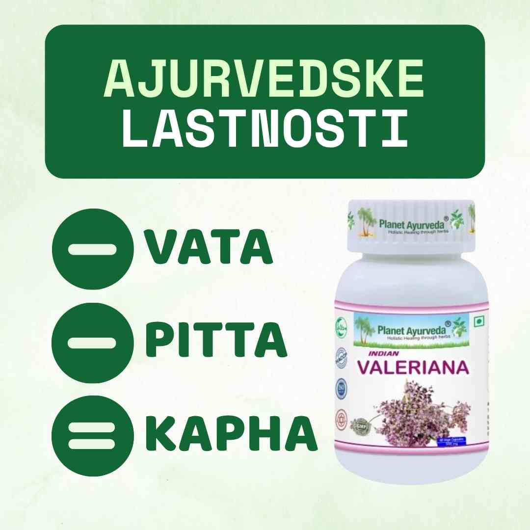 Indian Valeriana (Indijska baldrijan)