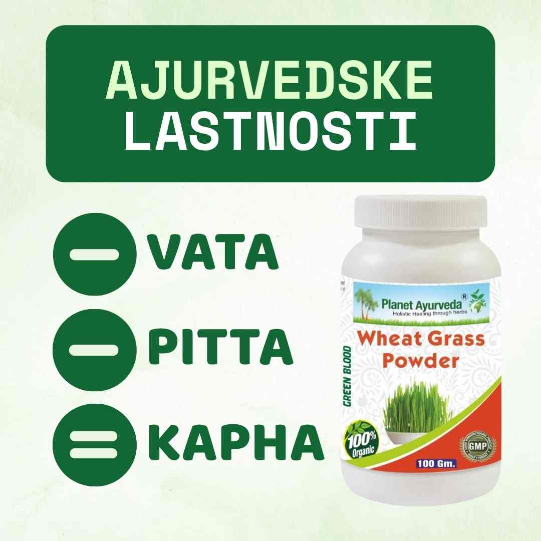 Wheat Grass Powder prah