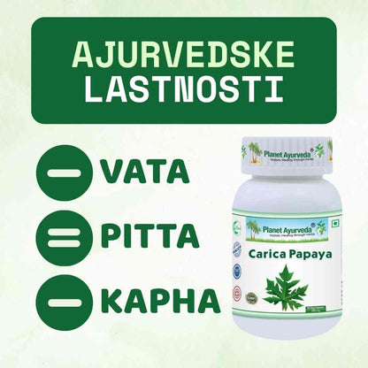 Carica Papaya