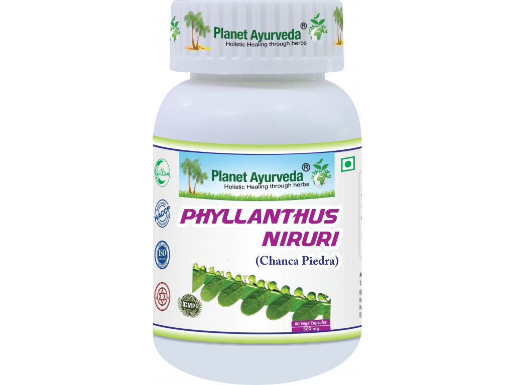 Phyllanthus Niruri – Chanca Piedra