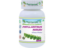 Phyllanthus Niruri – Chanca Piedra