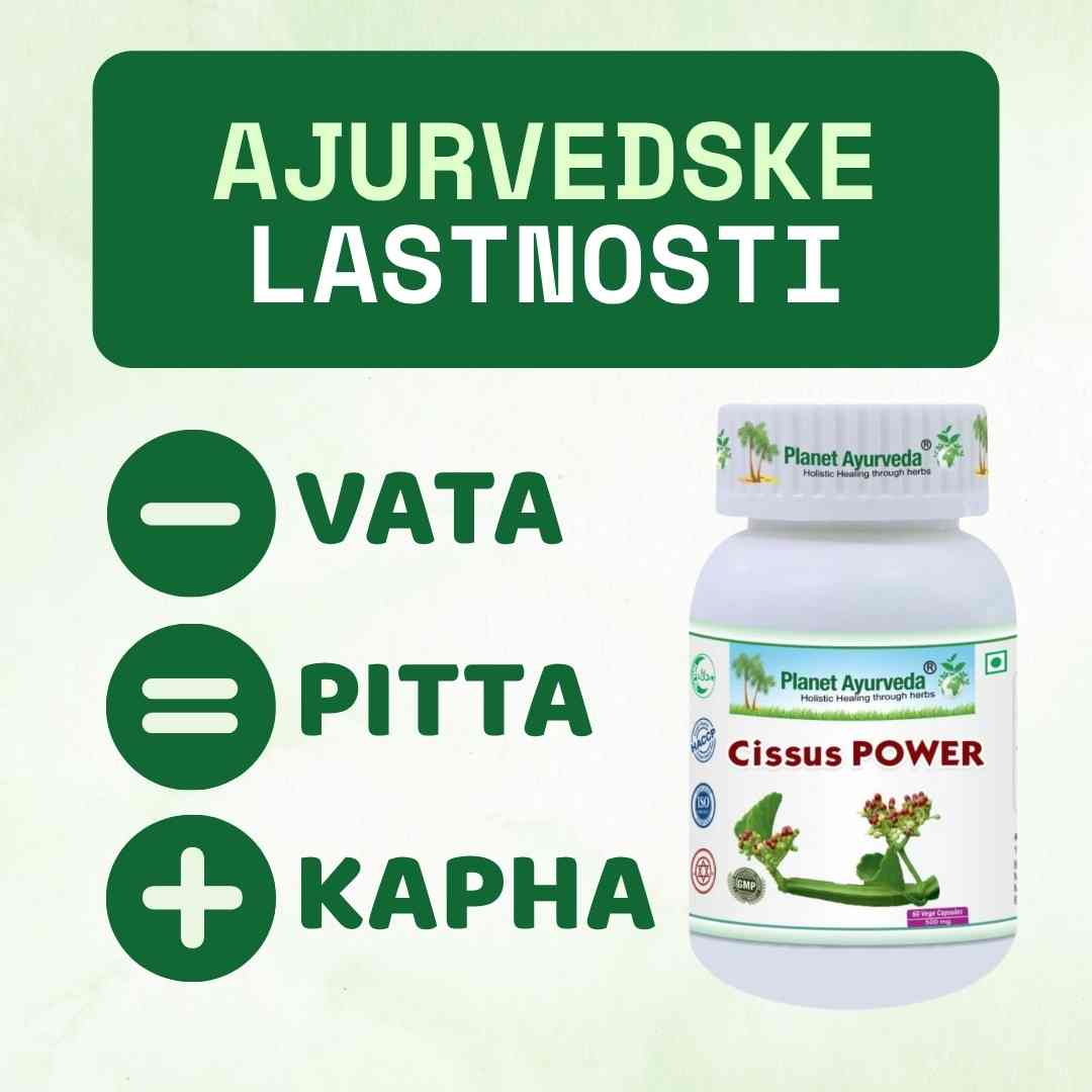 Cissus Power