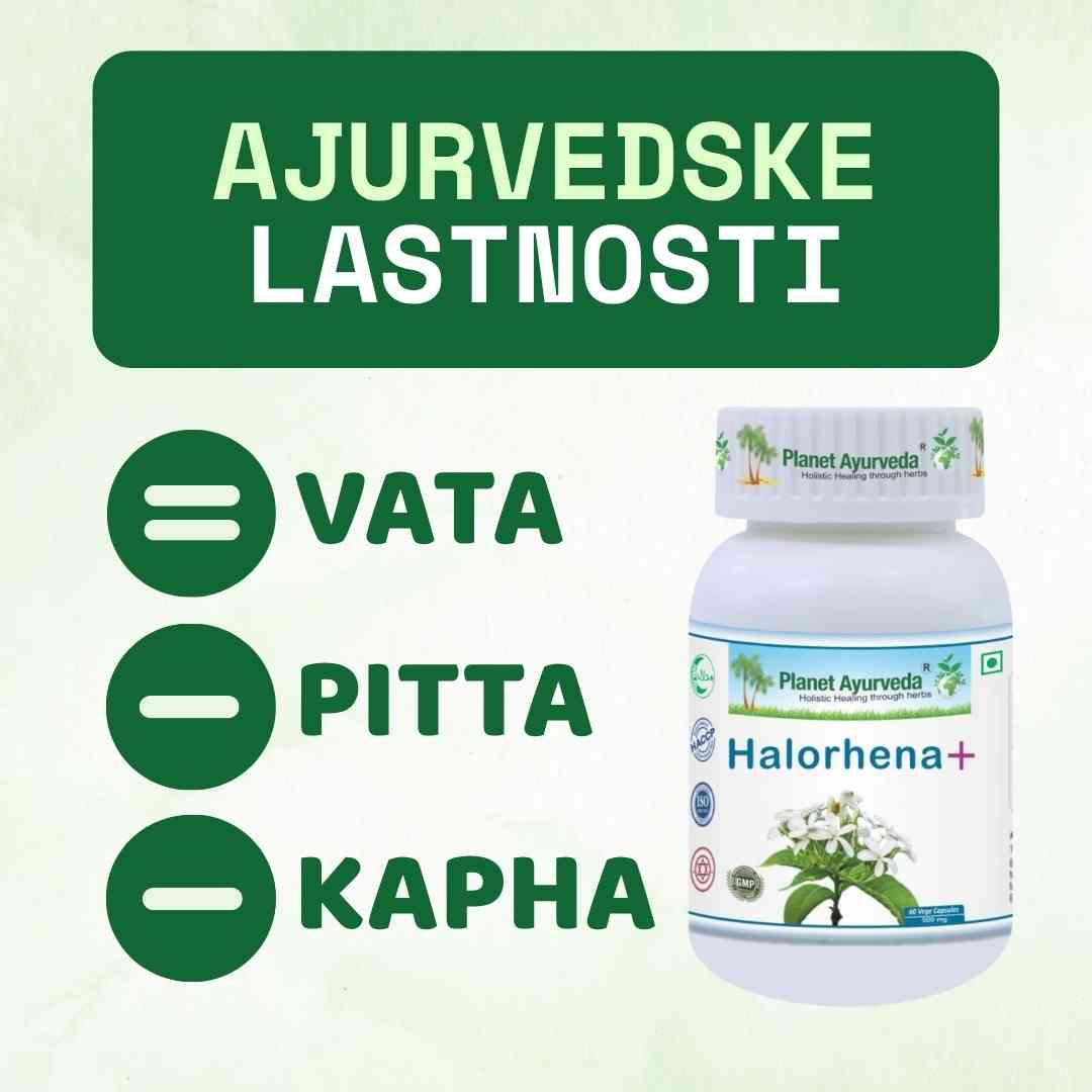 Halorhena+ (Kutaj)