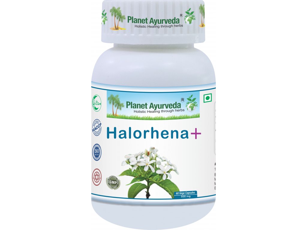 Halorhena+ (Kutaj)