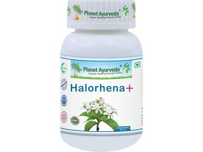 Halorhena+ (Kutaj)