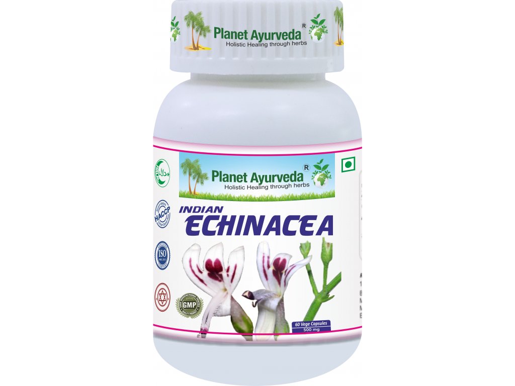 Indian Echinacea