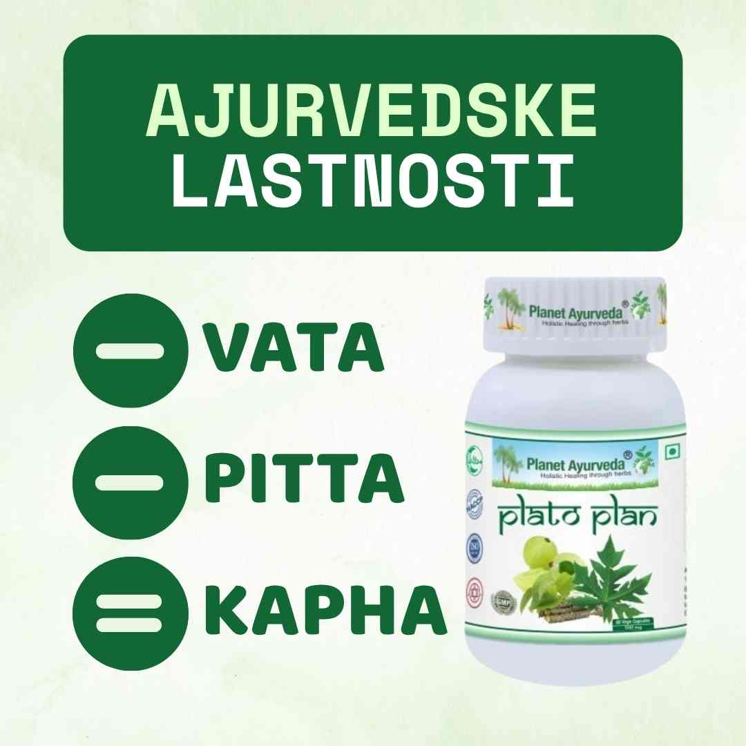 Plato Plan
