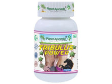 Tribulus Power